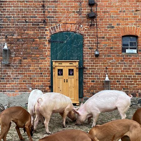 Bauernhof-Streichel-Zoo-Kombi-Familien-Suite-Im-Wald-Am-See Gulow Exteriér fotografie